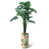 Vert tropical