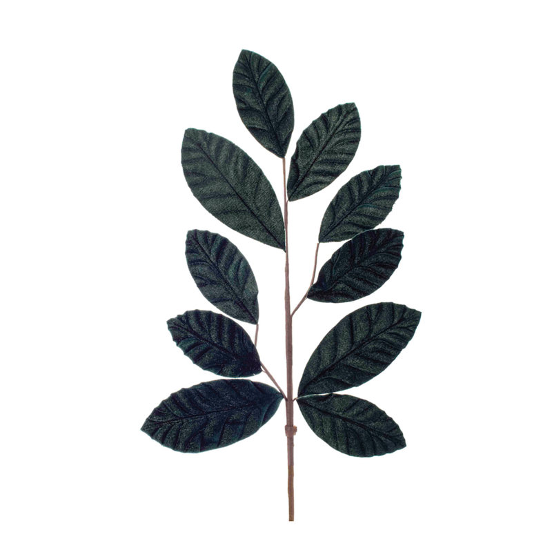 Feuilles vertes forêt (ensemble de 6)