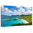 Gillard Trunk Bay-107720145