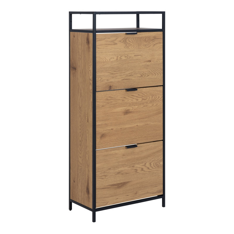 12 Pair Shoe Storage Cabinet