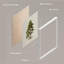 Arbre de Noël, pin, art, gros plan, impression encadrée sur papier, 4 pièces-97782599-97782598