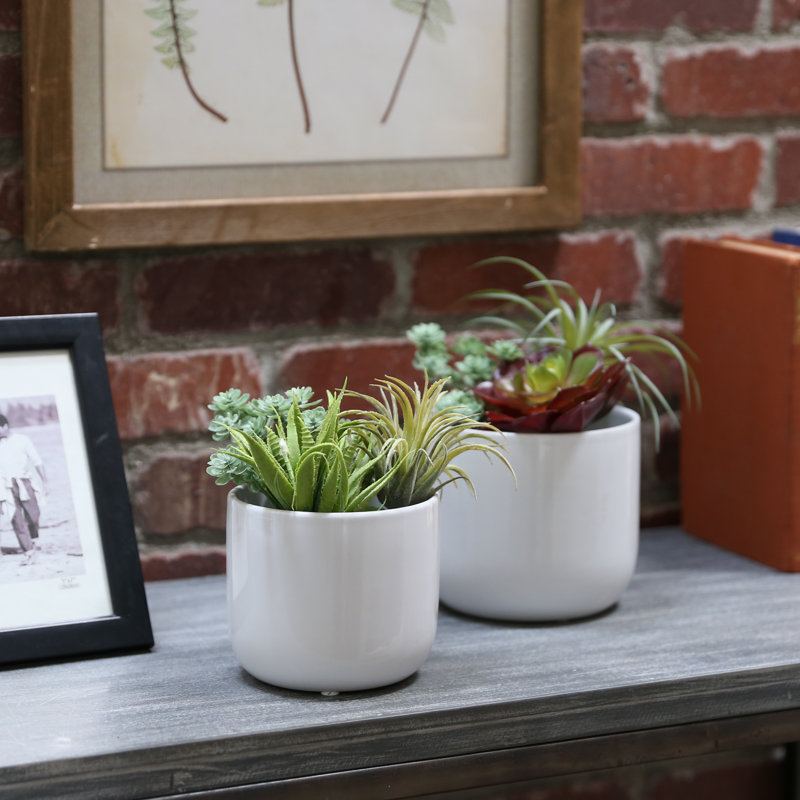Darwin Ceramic Pot Planter