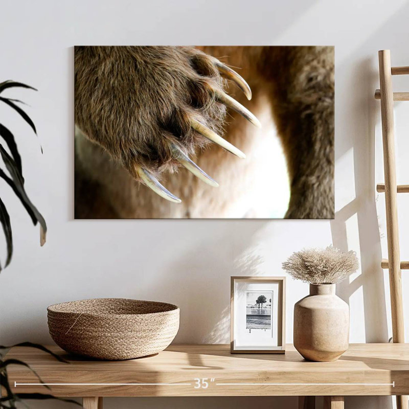Brampt Bear Claws, 16'' H x 24'' W