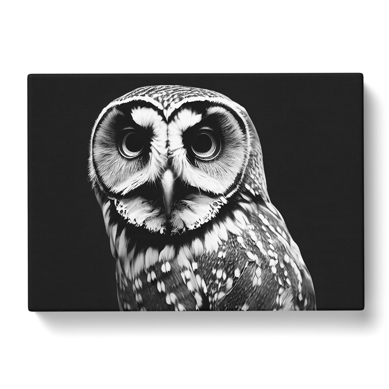 Owl Portrait Monochrome Vol.5 - Wrapped Canvas, 35cm H x 50cm W x 3cm D