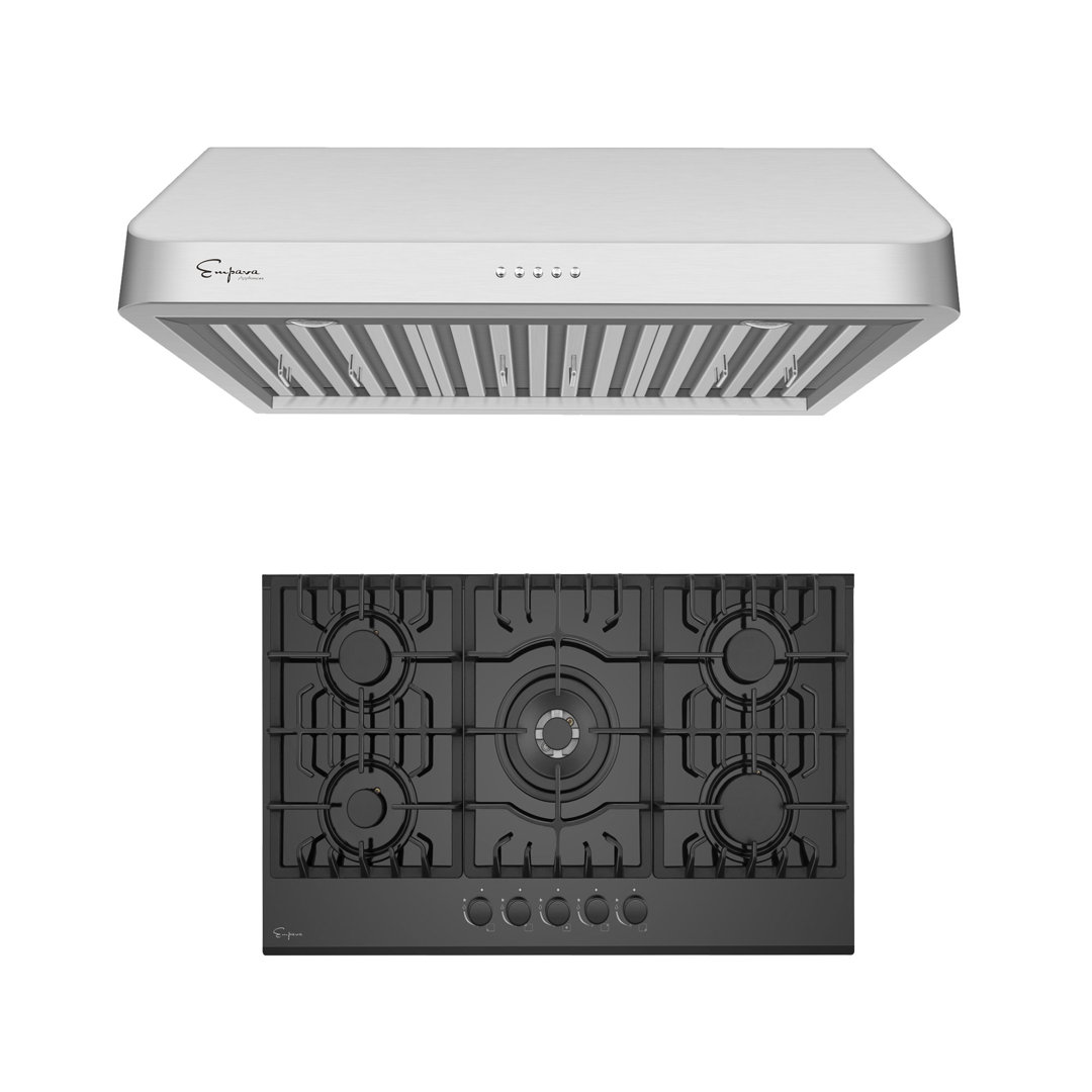 Empava 2 Piece Kitchen Appliance Package with 29.92'' Gas Cooktop , and Under Cabinet Range Hood Empava
