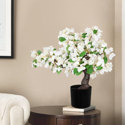 52.83cm Plant