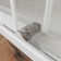 Concord 56" - 60" W x 76" H Double Sliding Frameless Shower Door with 3/8" Tempered Glass, Stainless Steel Accessories