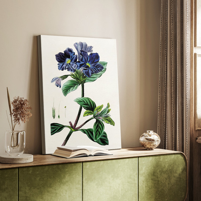AntiqueFloralFolioIV - galerie Cavas sur mesure, H 60 po x l 40 po