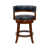 Black Seat/Cappuccino Frame selected
