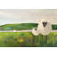 Moutons dans la prairie par Phyllis Adams-1539306494