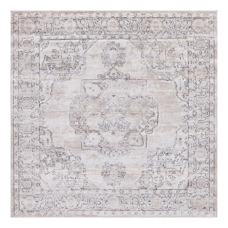 Cantey Oriental Indoor Rug