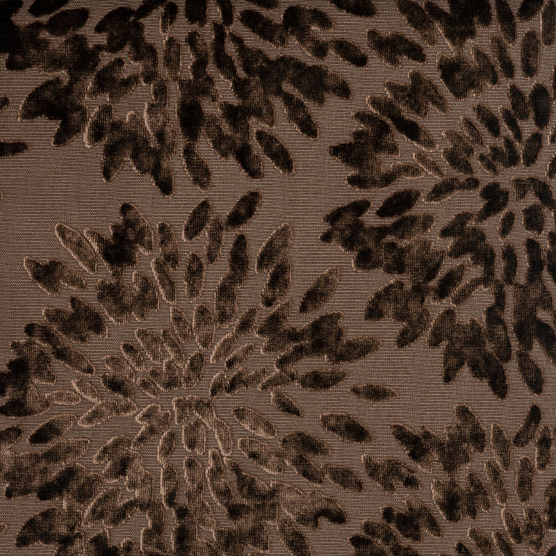 Tuscany-Florence Fiori Burnout Velvet Fabric, Coffee Bean
