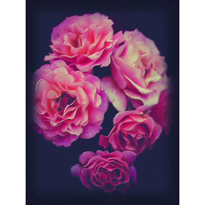 «Kiss from a Rose», reproduction sur toile tendue
