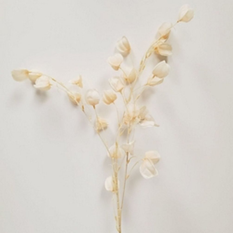 Chinese Lantern Arrangement