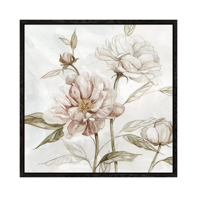 Washed Botanical II by Carol Robinson - Print on Canvas, Black Framed, 66.04 cm H x 66.04 cm W