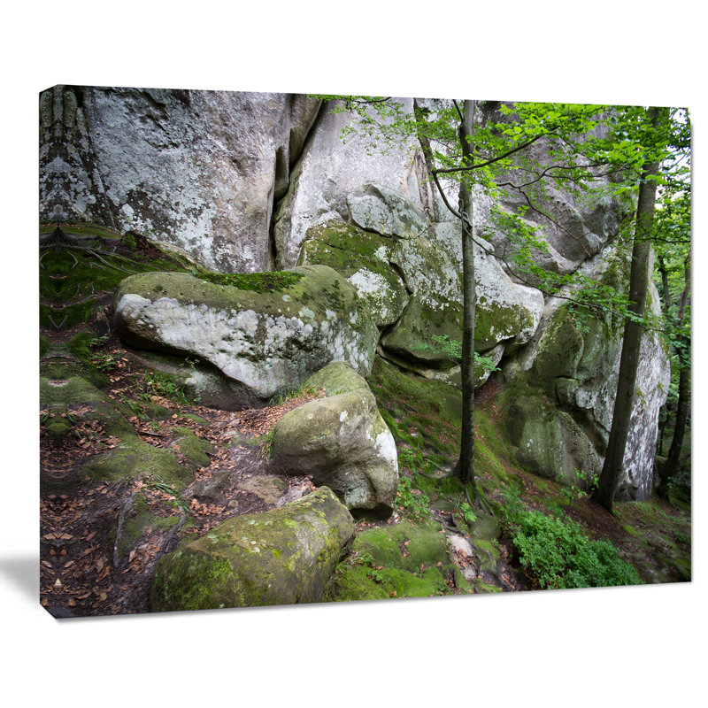 « profonde forest », reproduction de photo sur toile tendue, H 16 po x l 32 po x P 1 po