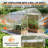 Walk-in Tunnel Greenhouse, Equipped With Galvanized Steel Frames And A Pe Cover-123684856