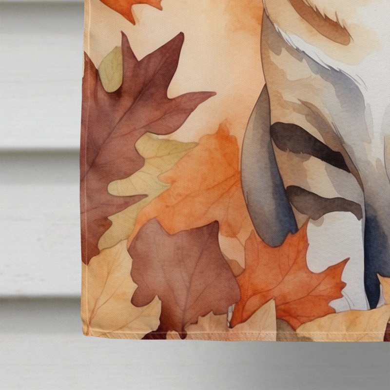 Chat en feuilles d'automne, German Rex