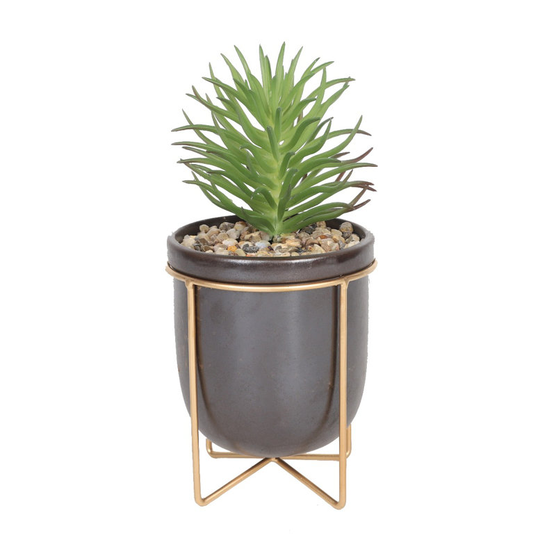 3.94cm Faux Succulent in Ceramic Pot