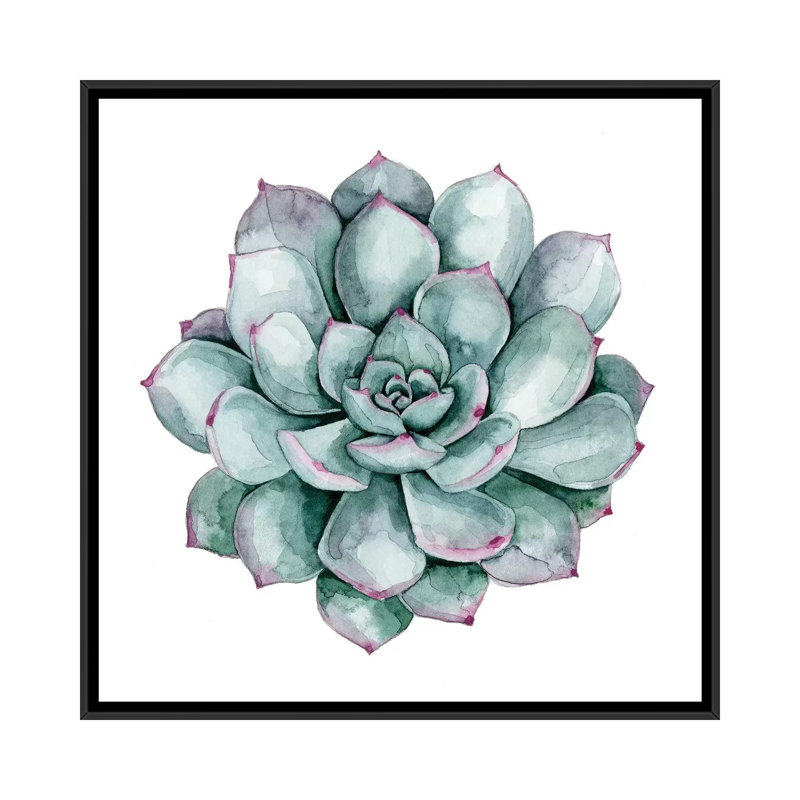 « succulent nuancier ii », impression sur toile, H 18 po x l 18 po x P 1,5 po, Toile avec cadre noir, Pas de tapis