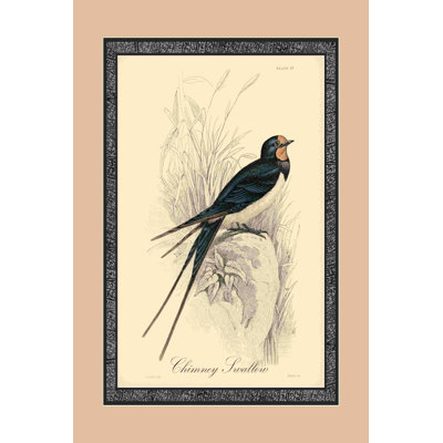 Hirondelle de cheminée imprimée (A)