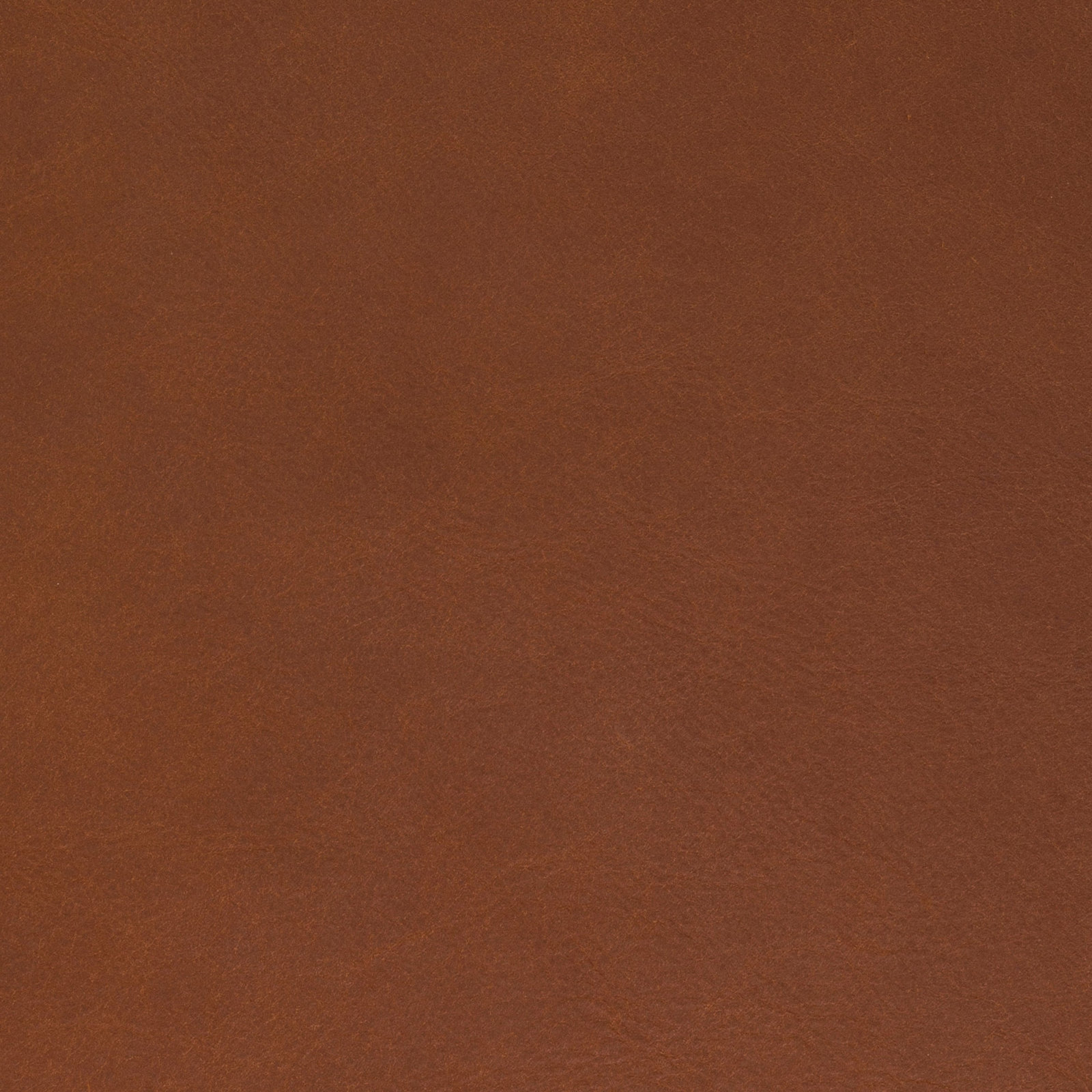 Porter Upholstered Armchair, Bruno Canyon Genuine Leather