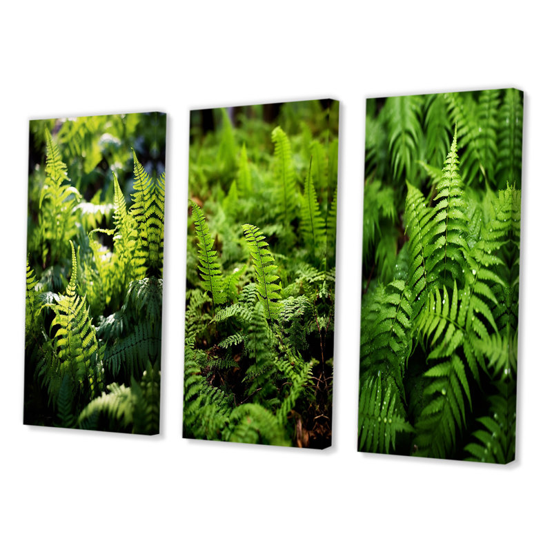 «Green Fern Fond», 3 pièces sur toile, Toile tendue, H 32 po x l 48 po