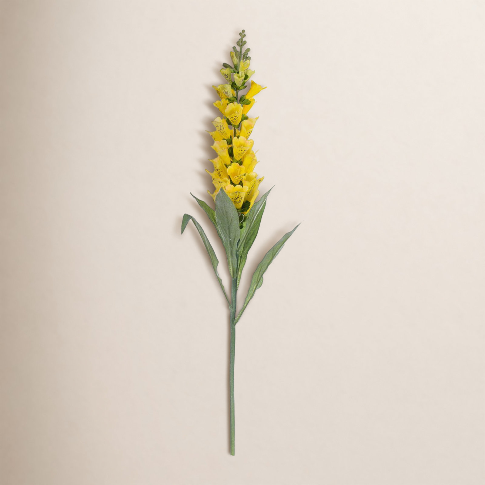Fuchsia Stems, Yellow
