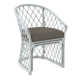 Raleigh Arm Chair