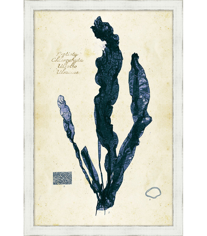 Indigo Sea Grass II Print, White Frame