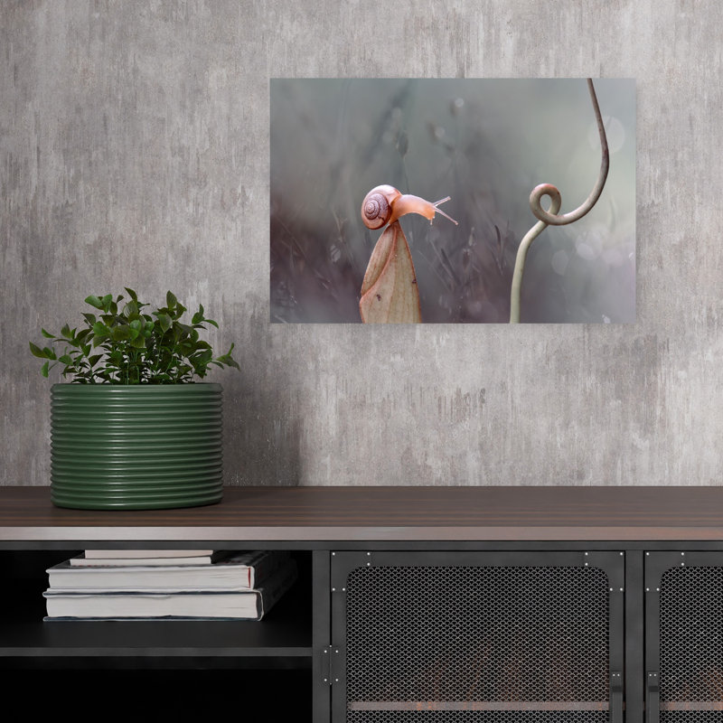 Snail'S Curious Reach Delicate Serene Tranquil Animal Nature Wall Art Print by Abdul Gapur Dayak - Print