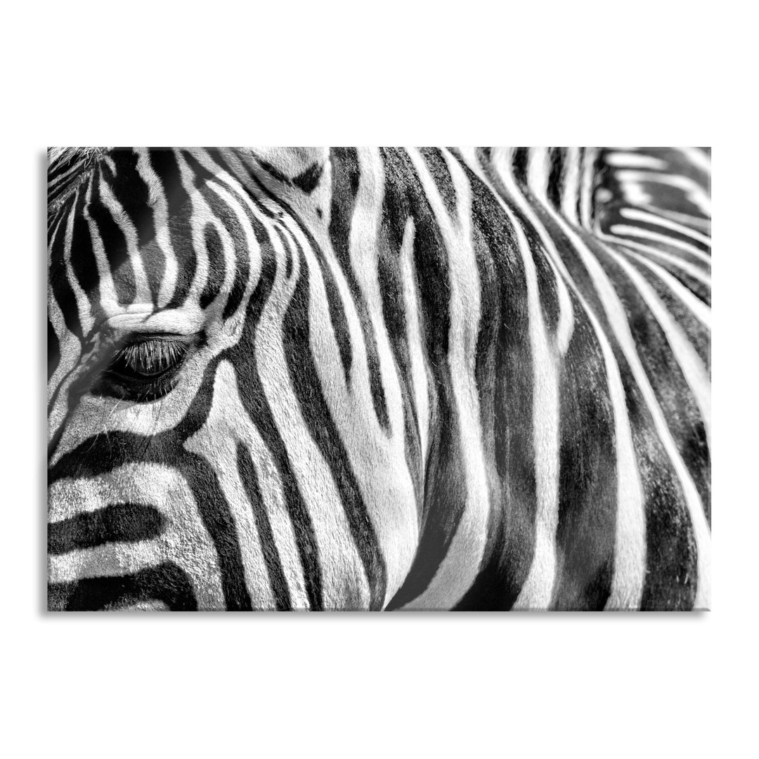 Glasbild Zebra Portrait