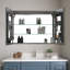 40'' W Mirrored Medicine Cabinet