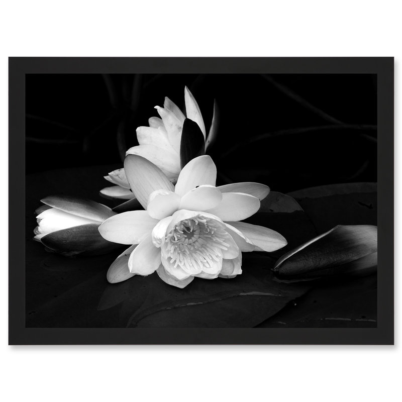 White Lilly Flower Bloom - Single Picture Frame Print