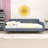 Queen Upholstered Daybed with Support Legs-383548261