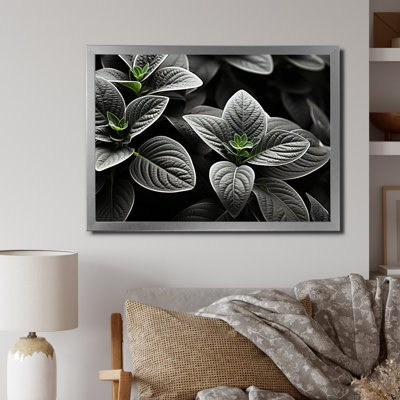 " Gray Plants Botanical Serenity "