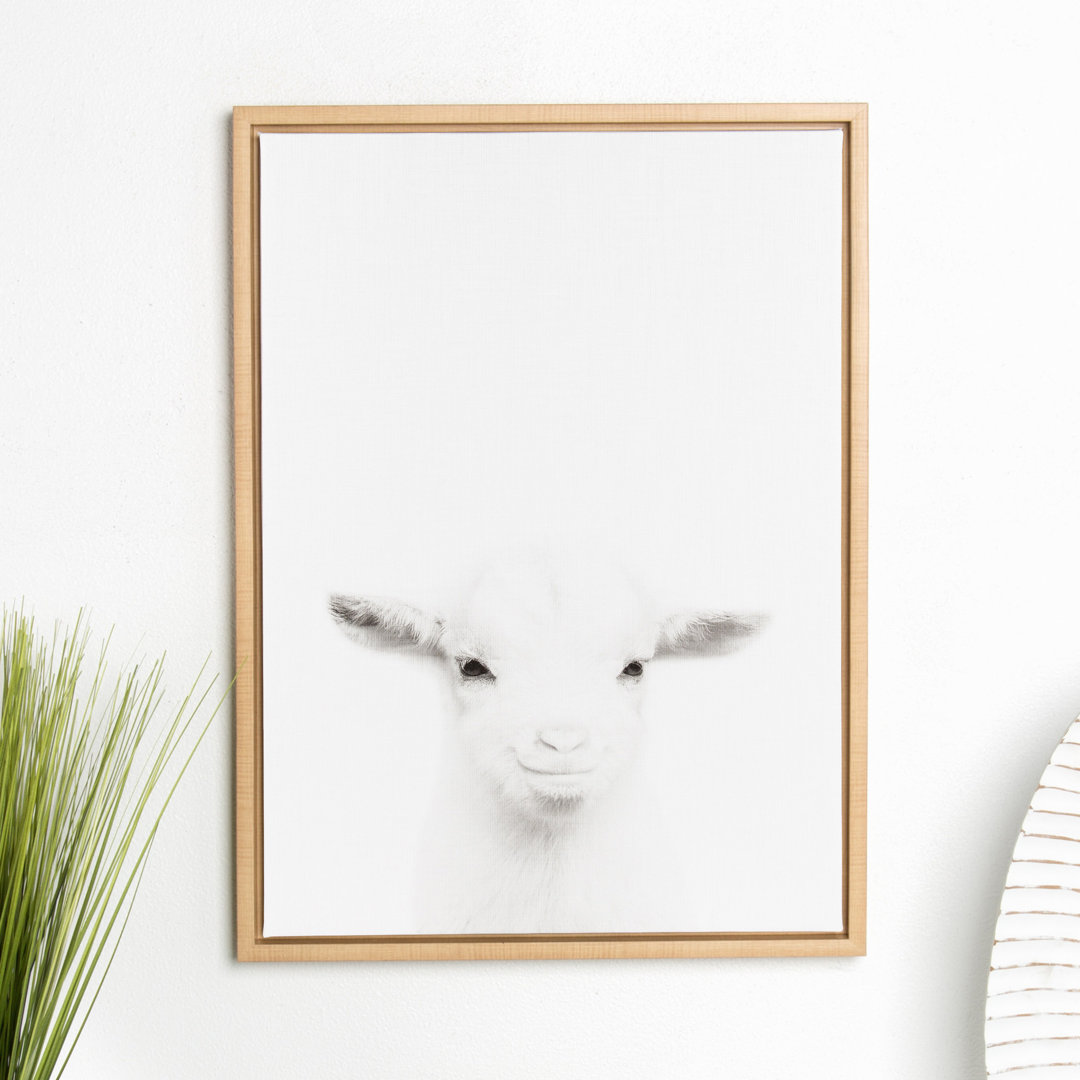 Simon Te Tai 'Sylvie Baby Goat Black and White Portrait' Framed Photographic Print on Canvas Kate and Laurel Frame