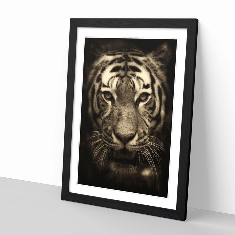 Tiger 3 Framed Photographic - Framed Print, Black
