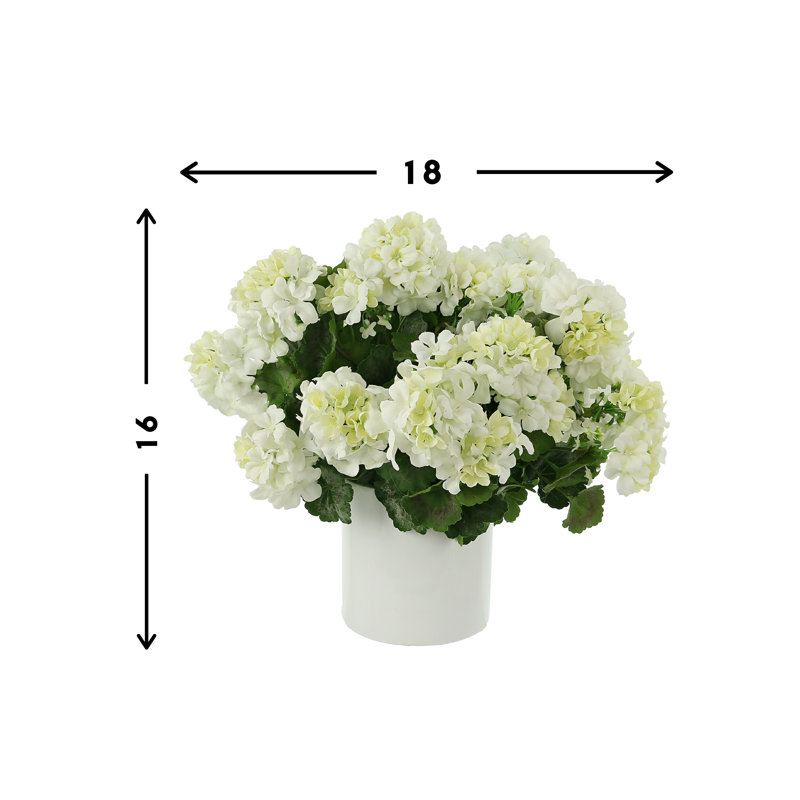 UV Protected Geranium Arrangement, White, White
