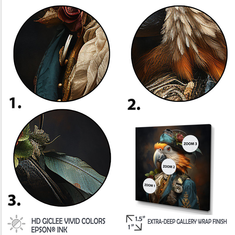 Décoration murale Pirates Parrot plume buccaneer I - Pirate, Cadre simple blanc, H 16 po x l 16 po x P 1 po