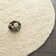 Schaeffer Solid Colour Natural Fibers Area Rug
