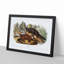 Mink by J.W. Audubon - Picture Frame Painting Print-55733674-55733673