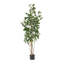 ARBRE DE LAURIER ARTIFIQUE 180CM 180CM-1609630818