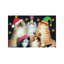 Christmas Cats - Wrapped Canvas Painting-469067389