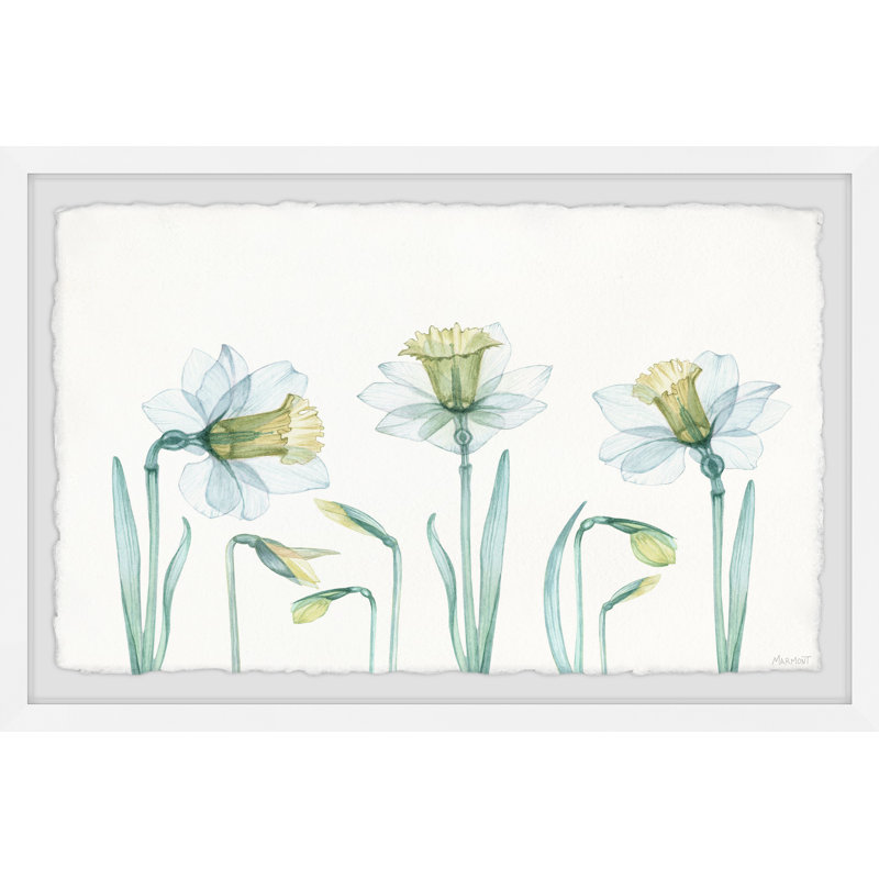 Live And Learn by Marmont Hill - Single Picture Frame Painting, 20cm H x 30cm W