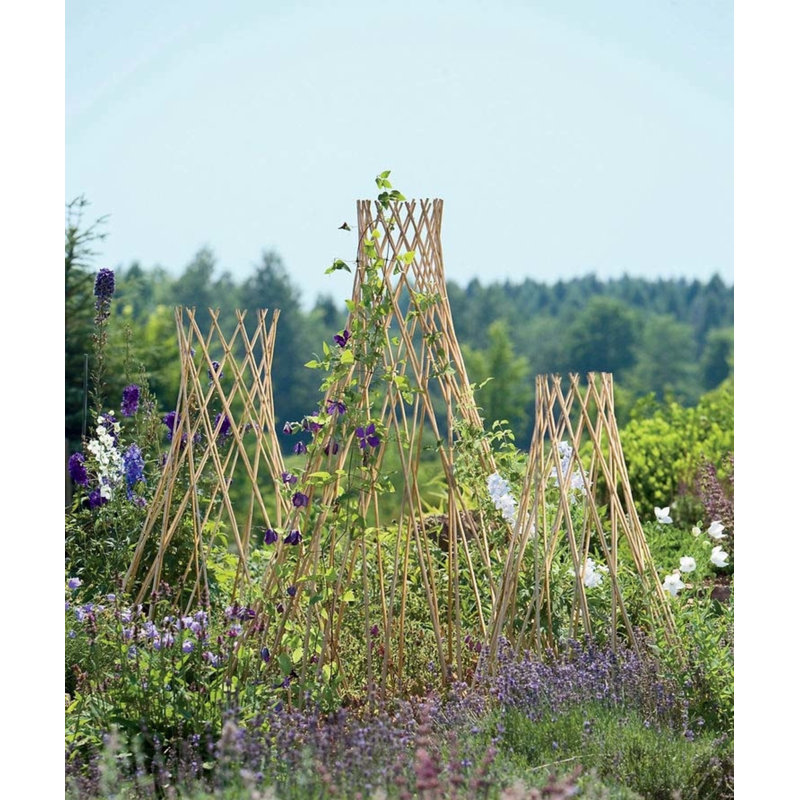 Treillage extensible en bois de saule, Brun clair, 72" H x 30" W x 30" D