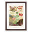 Great Barrier Reef Corals V by W. Saville-Kent - Framed Print-55575472-55575476