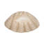 Bol décoratif Bequette-127047625
