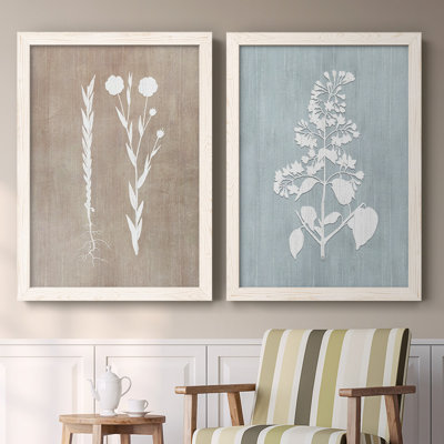 Botany Beauty III - 2 Piece Picture Frame Print on Canvas