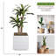 Dracaena artificiel en pot 51 po Panama-854984333